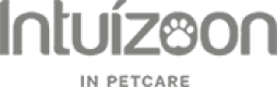 Intuizoon